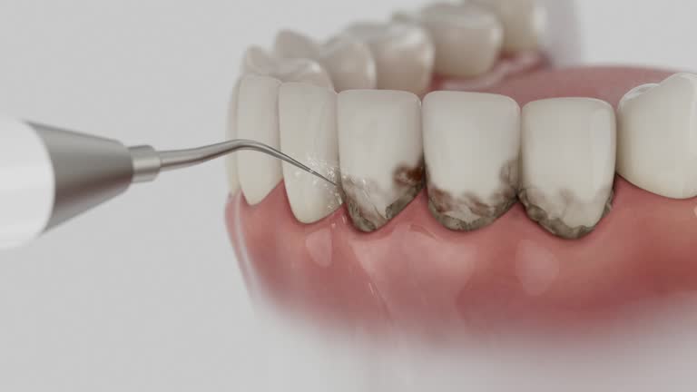 Reliable Dental contractor in Alorton, IL by Dentist Open Now